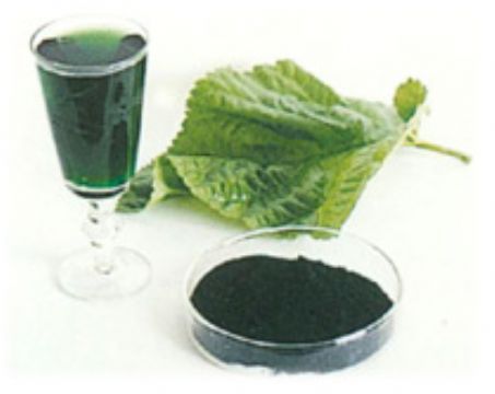 Sodium Copper Chlorophyll